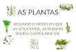 As plantas )