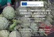 Estudido comparativo de los precios en los productos hortícolas en el Baix Llobregat