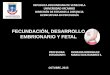 Maria Elva Ramirez Salcedo  Fecundacion y Desarrollo Fetal- Tarea 6