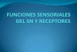 Funciones sensoriales del SN y receptores