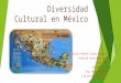 Diversidad cultural en méxico