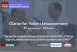 Cluster for Patient Empowerment - Conclusiones del encuentro del 2 de enero 2017