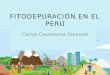 Carlos Casabonne Stoessel - Fitodepuración en el Perú
