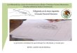 Las Matemáticas como herramienta para dibujar los Símbolos Patrios Mexicanos (autor: Javier Solis Noyola)