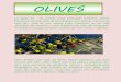 Olives. Experiències a lEcola Balandrau