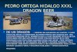 Pedro Ortega Hidalgo Xxxl Dragon Beer