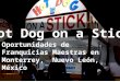 Hot Dog on a Stick Oportunidades de Franquicias Maestras en Monterrey,  Nuevo León, México