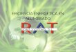 RAT - Eficiencia energetica en alumbrado