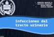 Infección del Tracto Urinario (ITU) - Ginecología y Obstetricia