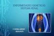 Enfermedades geneticas en el sistema renal
