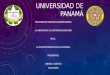 Universidad de panamá agro 4ta presentacion, Función productiva de la Empresa