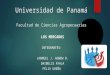 Universidad de panamá Presentacion de los Mercados