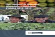 Plan nacional de seguridad alimentaria COLOMBIA
