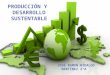 Pp1 producción y  desarrollo sustentable hm (1) chido (1)
