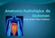 Anatomía Radiológica  de Abdomen