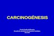 Carcinogenesis Generalidades