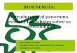 Bioenergia en España. ¿Sostenible?