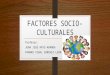 5 factores socio culturales
