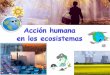 Accion humana ecosistemas_4eso