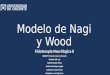 Modelo de nagi y wood