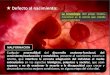 7° Defectos congénitos y período fetal