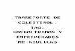 TRANSPORTE DE COLESTEROL, TAG, FOSFOLIPIDOS Y ENFERMEDADES METABOLICAS