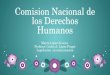 Comision nacional de los derechos humanos