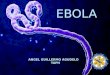 Ebola Y Leishmaniasis
