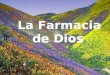 God's pharmacy (español)