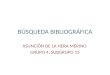 Búsqueda bibliográfica Asunción de la Hera