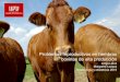 Problemas reproductivos en vacas de alta producción