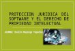 Protección jurídica del software y el derecho de propiedad intelectual
