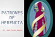 Patrones de herencia mendeliana. 2016.  Dr. Igor Pardo Zapata. Docente Titular