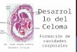 Desarrollo normal del celoma. embriología y genetica. umsa. dr. igor pardo zapata  2016