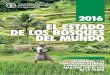 FAO - bosques 2016