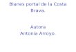 Arroyo antonia presentaci³_competic2