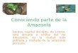 Conociendo Parte De La AmazoníA