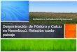 FCTA-UNP: Determinación de Fósforo y Calcio en Ñeembucú. Relación suelo-paisaje