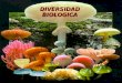 Diversidad biologica