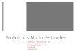 Curso de Microbiología - 27 - Protozoos no Intestinales
