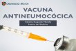 Vacuna Antineumocócica Chile
