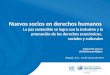 Presentación Informe Anual ONU Derechos Humanos Colombia año 2016
