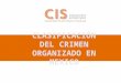 Clasificación del crimen organizado en México