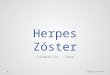Herpes zóster - Diagnóstico y tratamiento