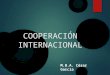 Principios de cooperación internacional
