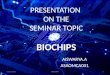 biochip presentation