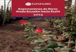 Informe: Exportaciones de flores a Rusia 2015