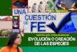 04 Evolucion o creacion - Una Cuestión de fe