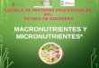 Micro y macro nutrientes