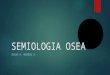 Semiologia osea radiologica
